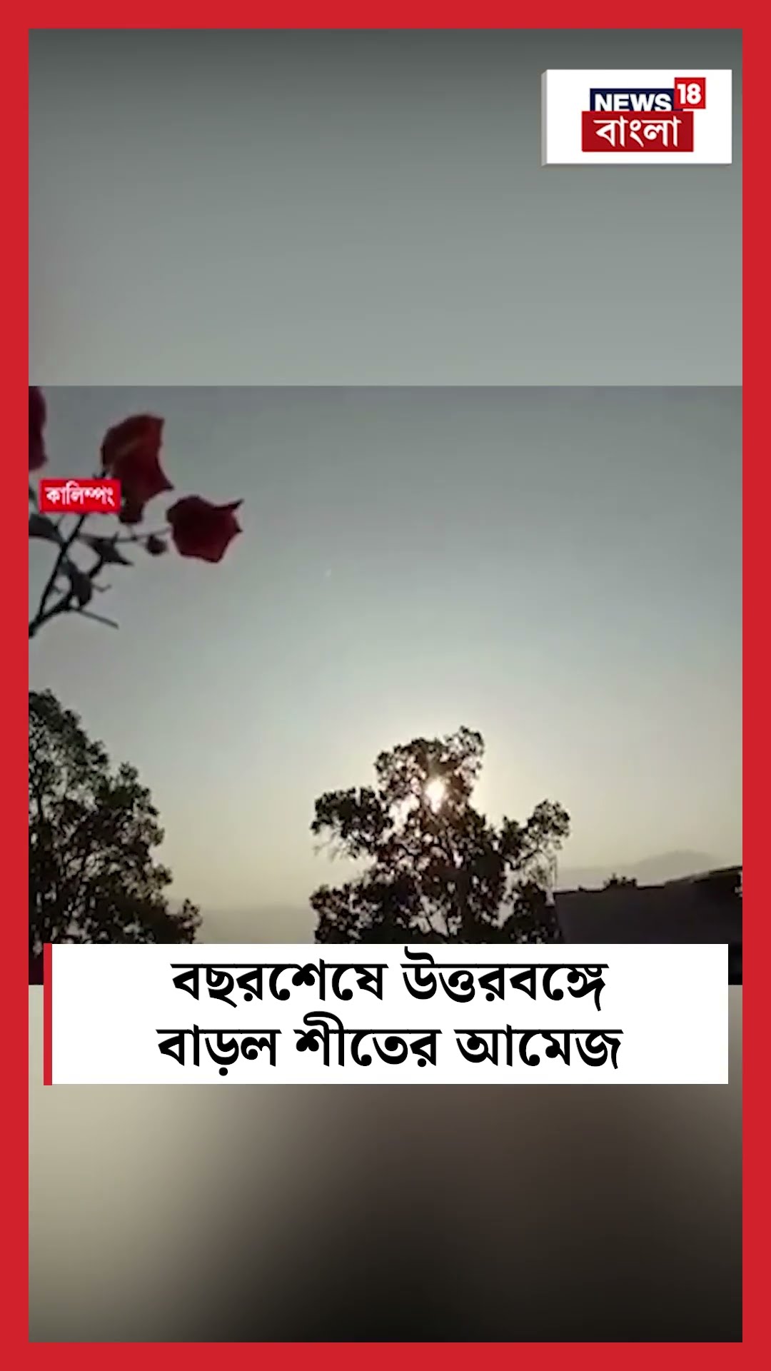 বছরশেষে North Bengal এ বাড়ল শীতের আমেজ #shorts