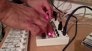 Live Setup (Session 1): Korg Volca Sample.