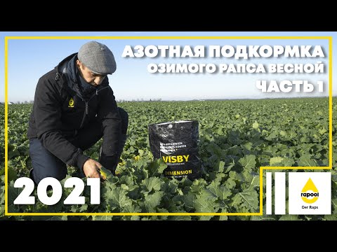 Азотная подкормка озимого
