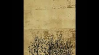 Chet Baker - I Talk To The Trees