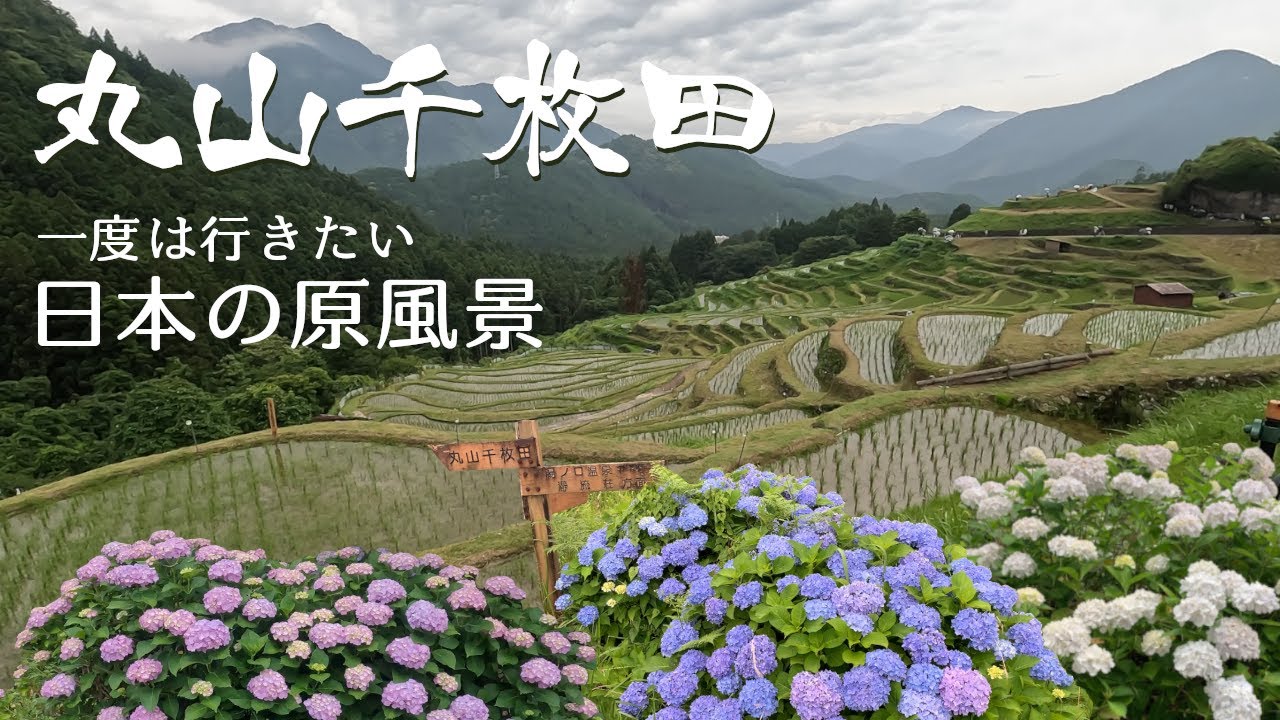 【三重県ドライブ】丸山千枚田の虫おくり | 日本棚田百選に選ばれた棚田は本当に美しかった！| 奈良県 道の駅吉野路黒滝・上北山【vlog】