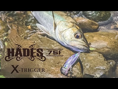 The rumored new product: Hades 75F] Conquering clear-stream sea