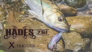 The rumored new product: Hades 75F] Conquering clear-stream sea