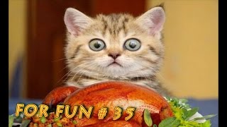 ЛУЧШИЕ ПРИКОЛЫ# 35 -СВАРЩИК- ЛУЧШИЕ ПРИКОЛЫ# 35 -СВАРЩИК-