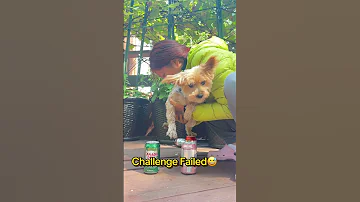 Nickiminaj Challenge Failed Puppy Funny Cutedog Cute Dog Pets Trending Trendingshorts 