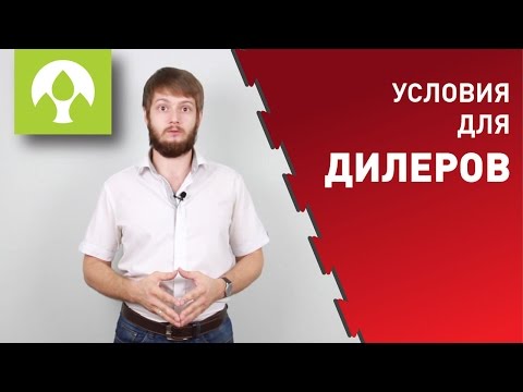 Условия для дилеров