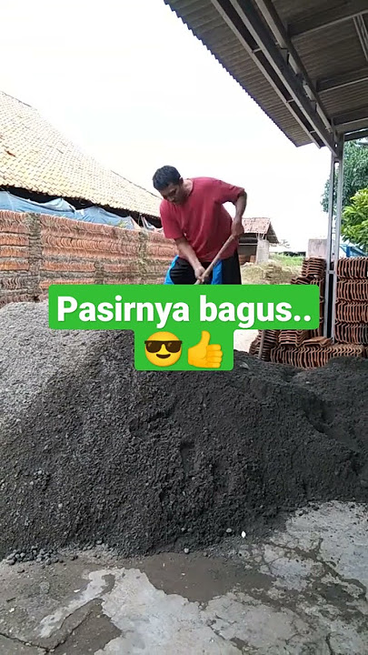 kuli pasir#shorts_