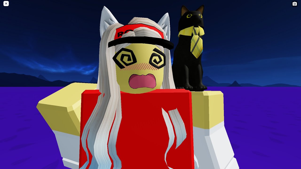 sad cat dance YouTube