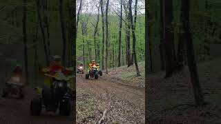 LTZ 400 Wheelie