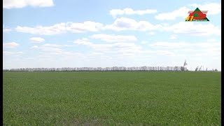 Посівна на Прилуччині