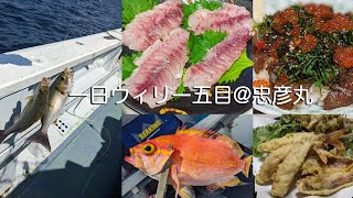 【2022.5.3 金沢八景 忠彦丸】一日ウィリー五目！