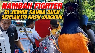 JEMUR SAUNA DULU ATAU DI KASIH JANGKRIK DULU⁉️TERGANTUNG LAMA ATAU TIDAKNYA