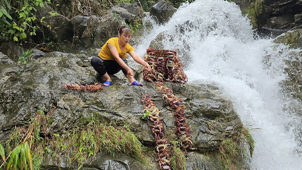 The crabs were crawling around after the rain - Catching crabs to sell | Tiểu Mai Daily Life