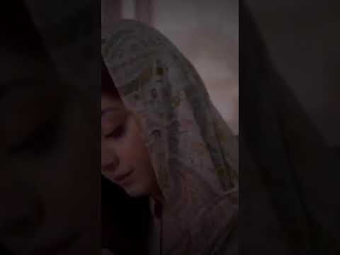 هاشم الحسني وجهة نظر ماجد المصري