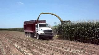 Silage Harvesting 2012