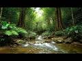 Stress Escape – Beautiful Enchanted Water River Sound in Peaceful River – Relax