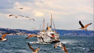 HASAN EYLEN - İstanbul'da Boğaziçinde Bir Garip Orhan Veli Resimi