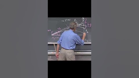 Walter Lewin shoots a monkey