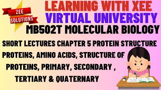MB502T Molecular Biology Chapter 5 Protein structure Virtual University of Pakistan