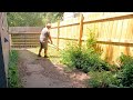 Trimming Tall Grass On This Neglected Abandoned House