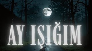 Ay Işiğim Resimi