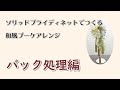 【松村アクア】ソリッドブライディネットB（バック処理編）