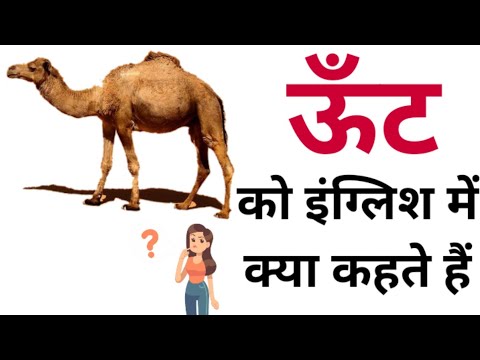 वीडियो: क्या येंटा एक अंग्रेजी शब्द है?