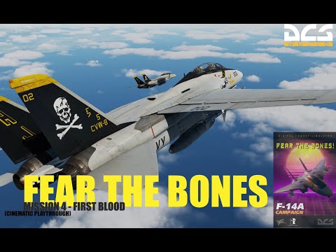 DCS F-14A FEAR