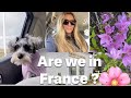 Ashley and Sloane French Antiques in Libertyville IL / French food / #spring #shopping #youtube