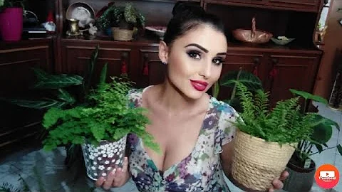 Cosa produce la felce?