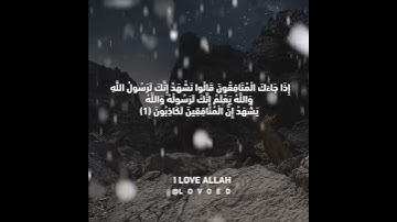 سورة المنافقون ياسر الدوسري من الايه 1 الي 3 - سورة المنافقون ياسر الدوسري