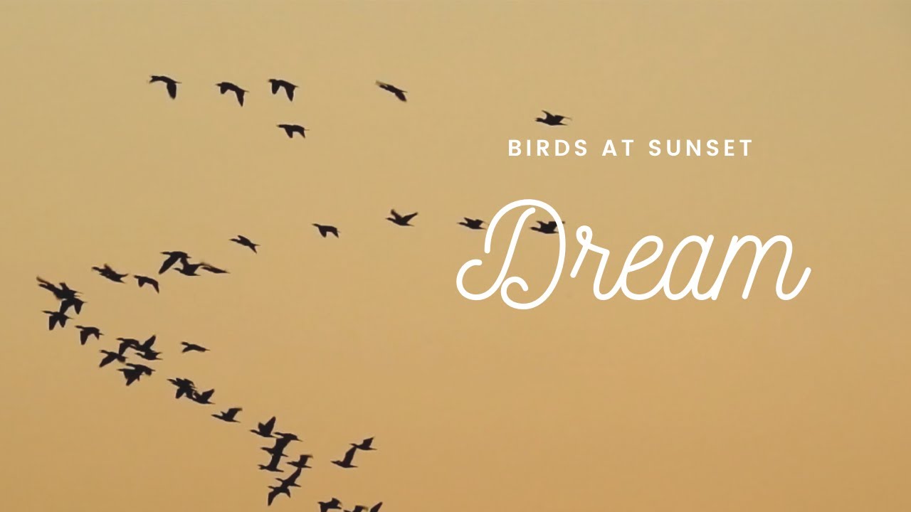 Relax at sunset watching the local wildlife