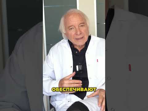 ❗Стволовые клетки при