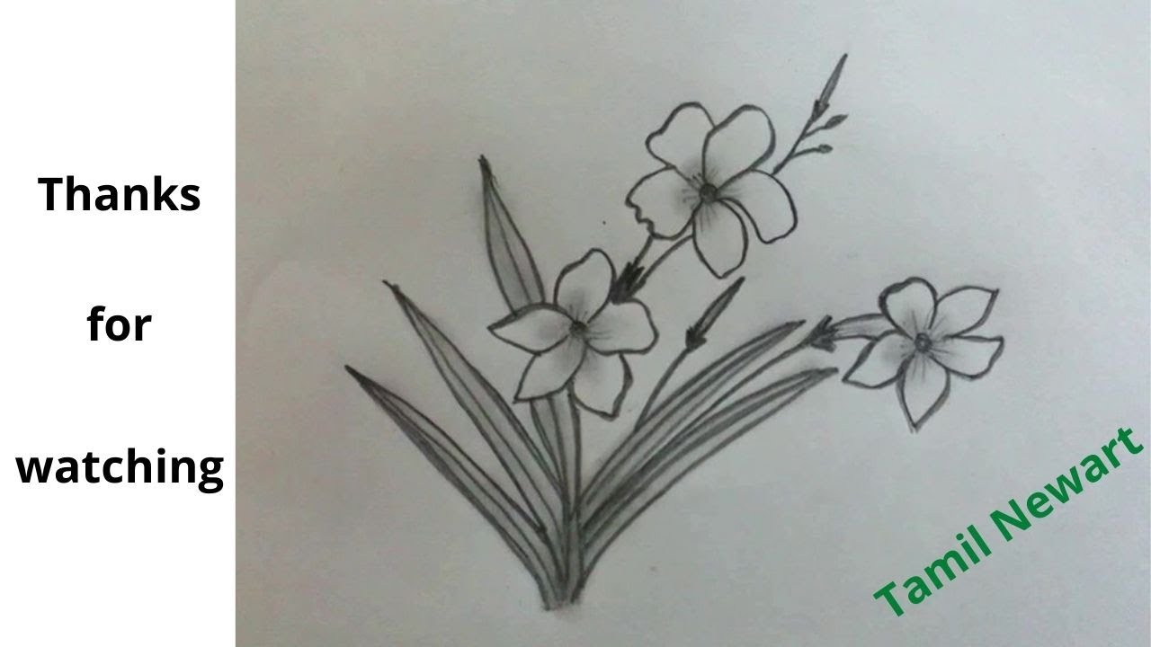 Flower Drawing | Black and White Floral Art