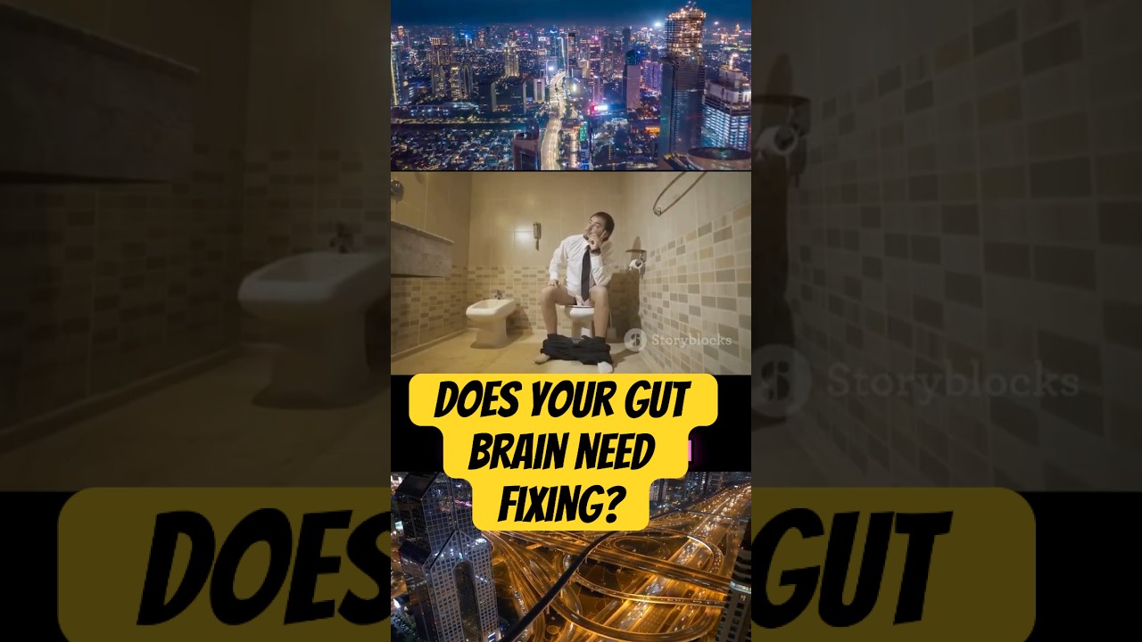 Why Modern Life Is Breaking Your Gut-Brain Connection And How To Fix It! 