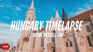 Weebill LAB Timelapse in Hungary