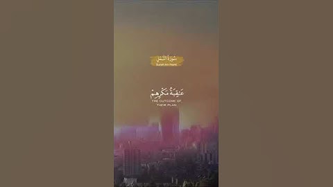 سورة النمل آيه ٥٠-٥٢