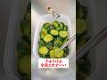 【和食屋で働いてる友達から教わった】【タッパーめんつゆきゅうり】誰でも超簡単に作れるのに超美味しい！#short#簡単レシピ#きゅうり