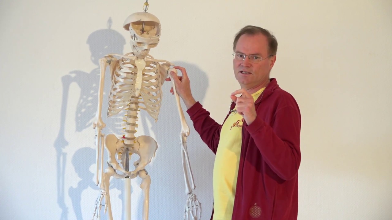 Yoga bei Schulter Impingement - Yoga hilft