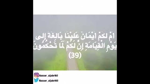 تلاوة القارئ ناصر الجابري