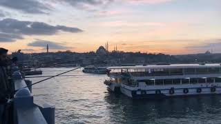 Engi̇n Nurşani̇ - Gülom