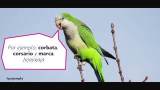 Uso De La R Y La Rr Youtube Uso De La R Y La Rr Youtube