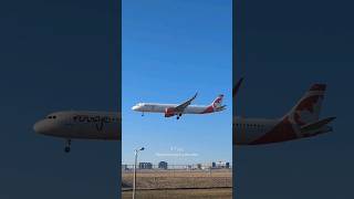 Air Canada Rouge A321 Toronto planespotting