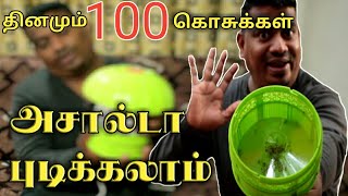 கொசுக்களின் எமன் | WITHOUT CHEMICAL MOSQUITO KILLER IN TAMIL