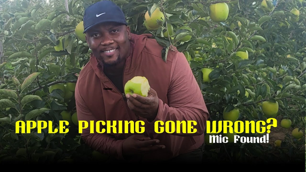 Best time to go apple picking in Toronto