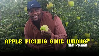 Best time to go apple picking in Toronto