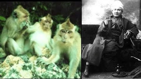 On Godowsky Java Suite, Chattering Monkeys at the Sacred Lake of Wendit