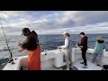 Deep Sea Fishing - Red Snapper Shark Bait