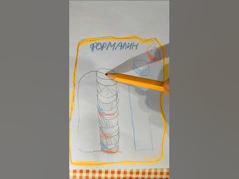 Вольтов столб #shorts - YouTube