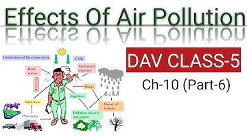Effects Of Air Pollution || DAV ||Class 5 Science || Hindi || Chapter 10